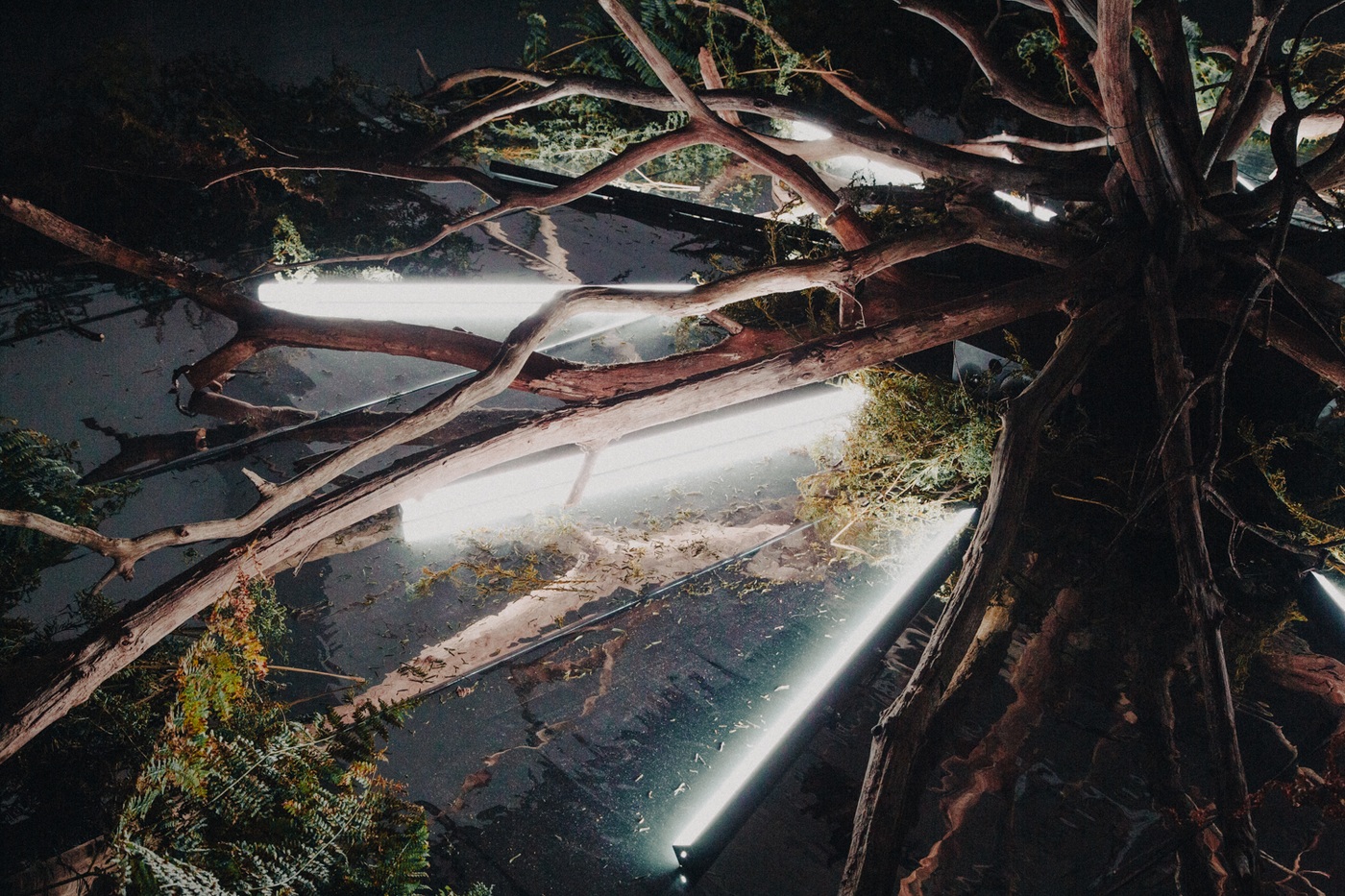 Photographer: Alexandre Wallon
