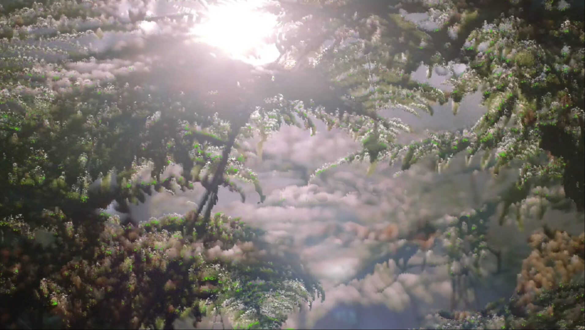 Forest Lab : les visuels projetés pendant le live, créés par Sig Valax.